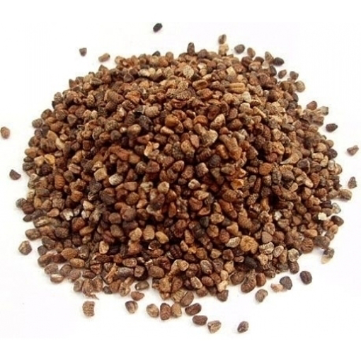 Cardamom Seeds Elaichi Dana 200g