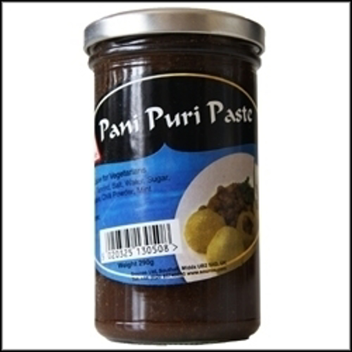 Picture of Sounas Pani Puri Paste 290g