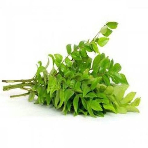 Fresh Curry Leaves Bunch